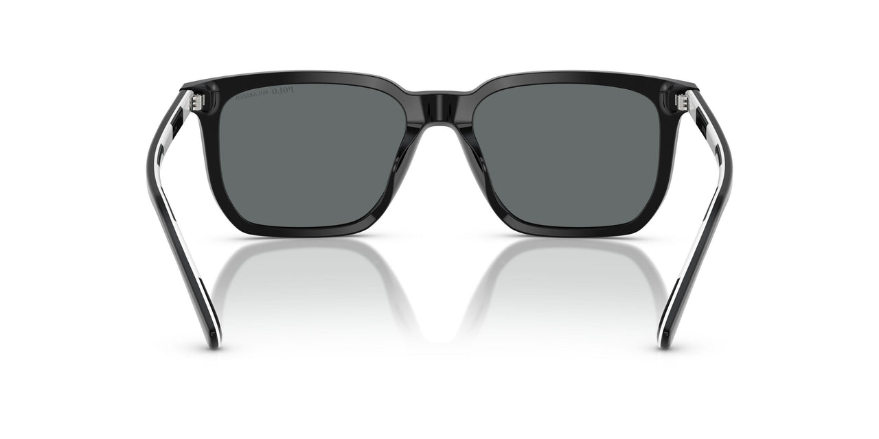 500181 - Black - Polar Dark Grey