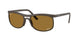 Ray-Ban 4452CH Sunglasses