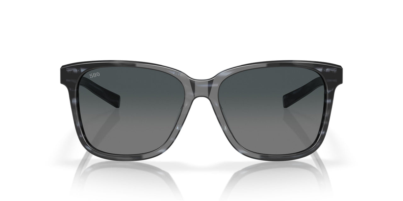 200916 - Multicolor - Gray Gradient