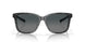 200916 - Multicolor - Gray Gradient