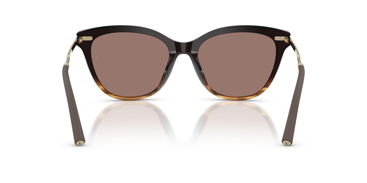 139253 - Brown - Sierra