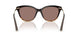 139253 - Brown - Sierra