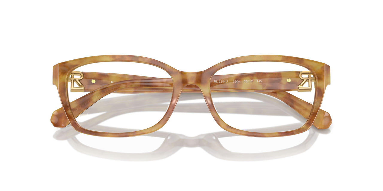 5304 - Tortoise