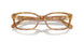 5304 - Tortoise