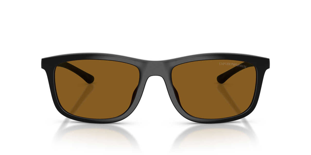 501783 - Black - Dark Brown Polarized