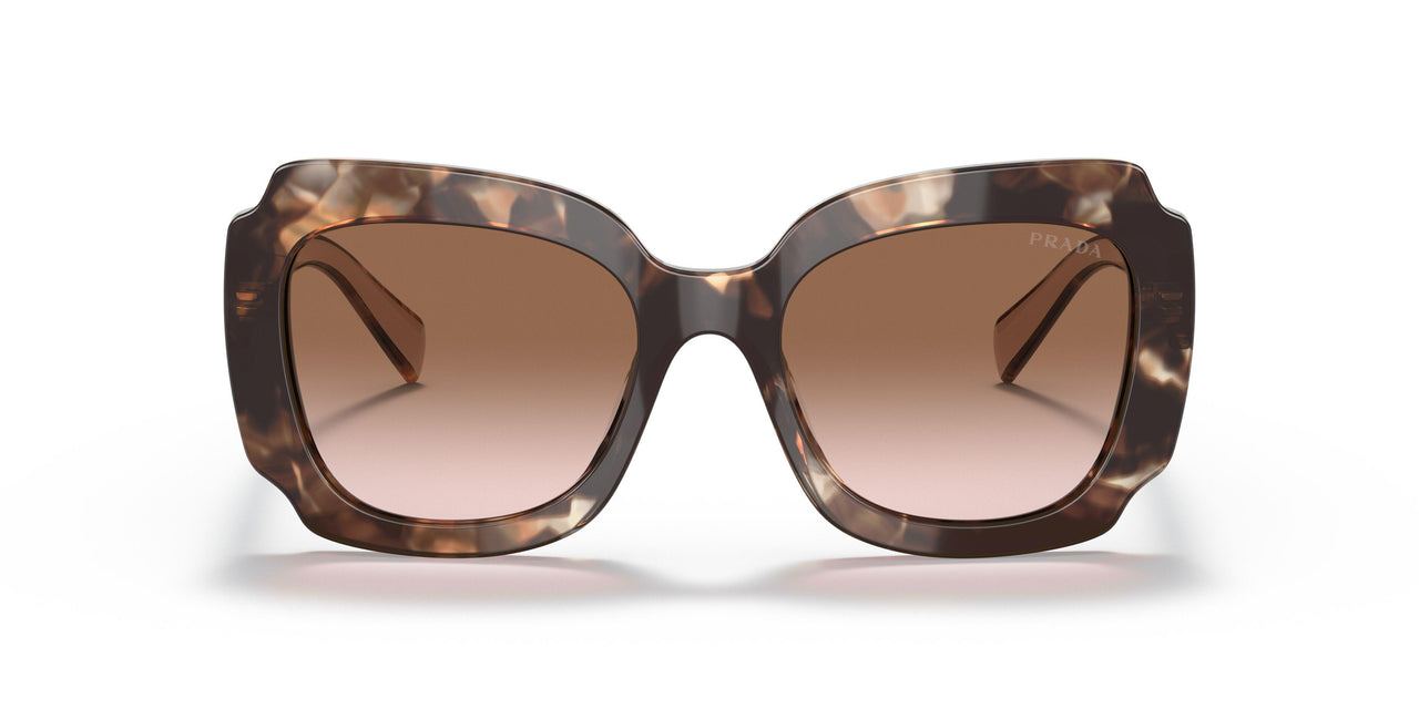 01R0A6 - Havana - Brown Gradient