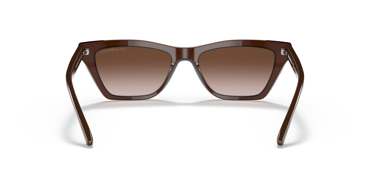 591013 - Brown - Gradient Brown