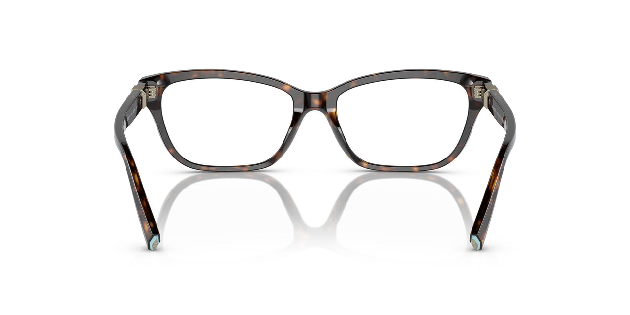 8015 - Tortoise