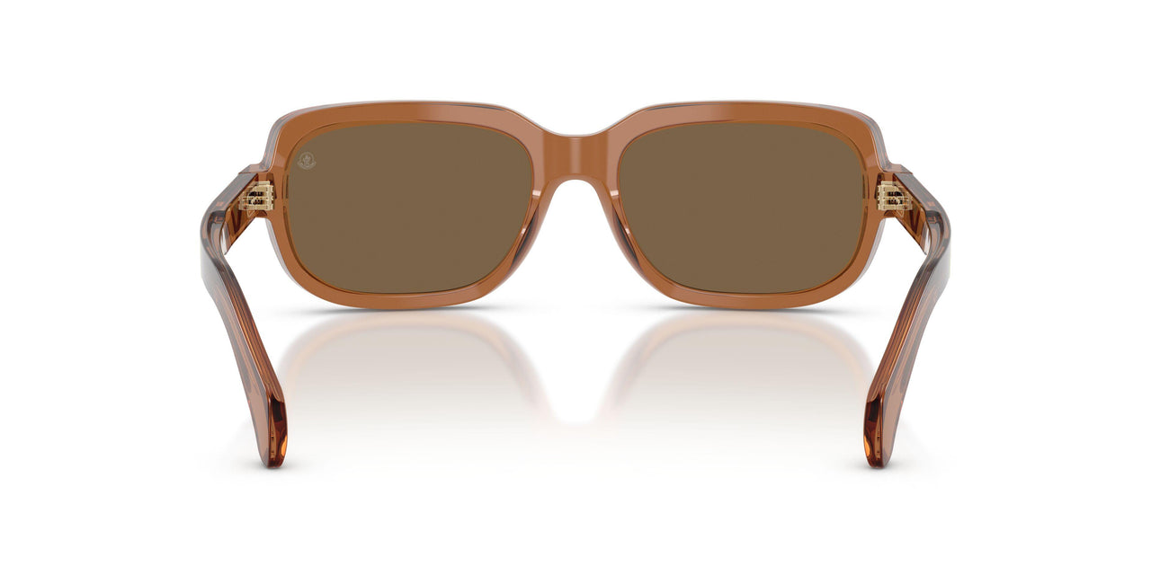 3017F9 - Orange - Brown Mirror Bronze