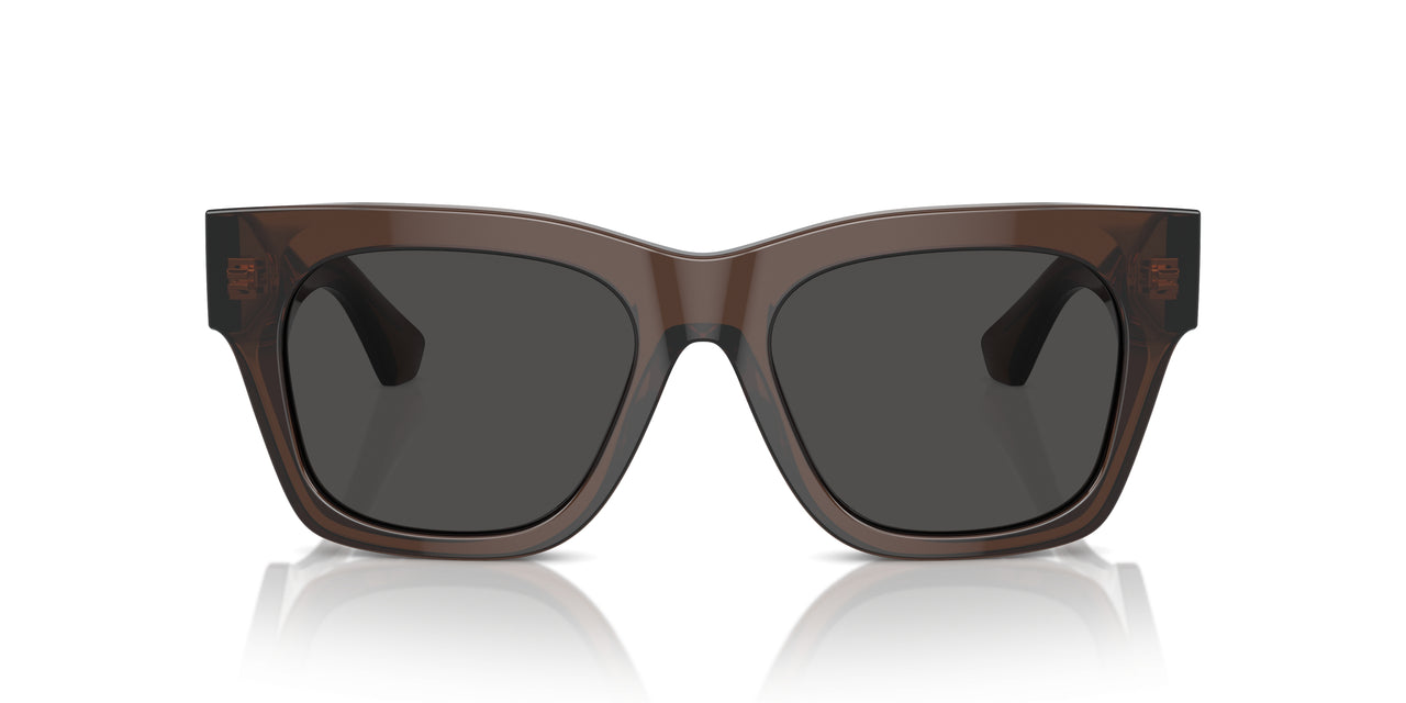 411687 - Brown - Dark Grey
