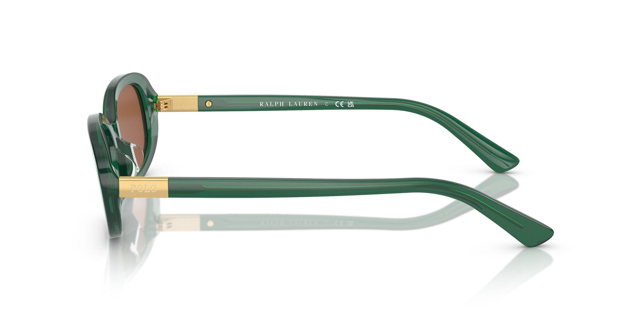 619573 - Green - Brown