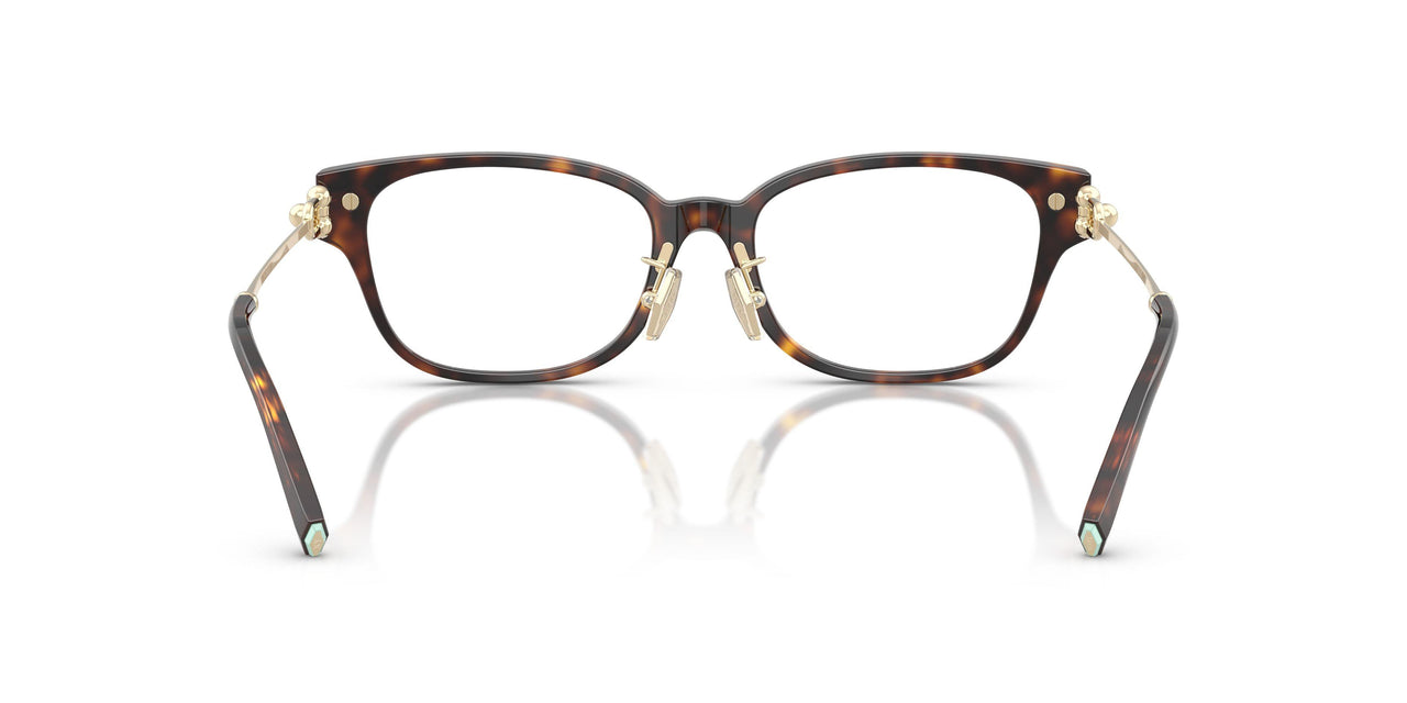 8015 - Tortoise