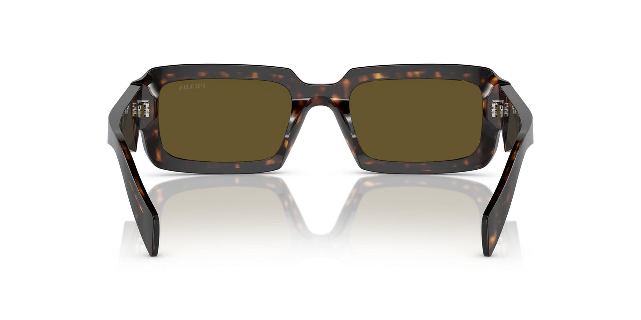 19J09Z - Green - Dark Brown