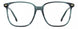 06AK-00 - GREEN HRN