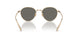 5035R5 - Gold - Carbon Grey