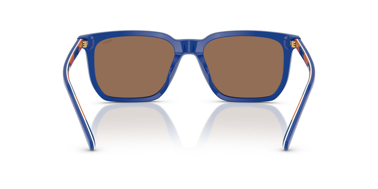 523573 - Blue - Dark Brown