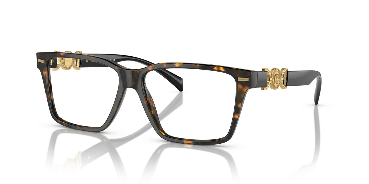 5404 - Tortoise