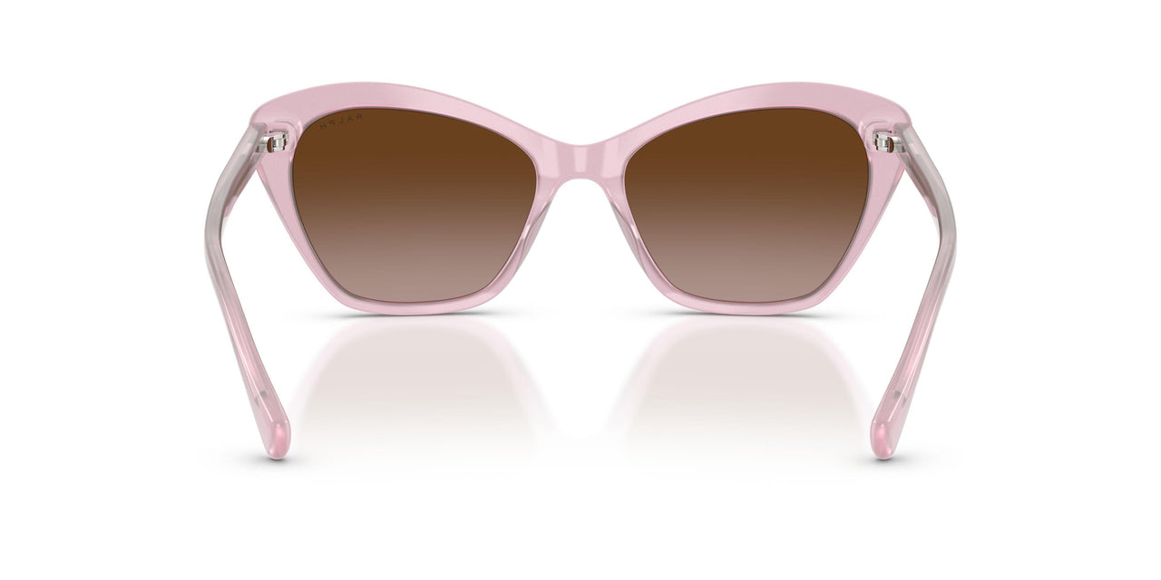 628413 - Violet - Gradient Brown
