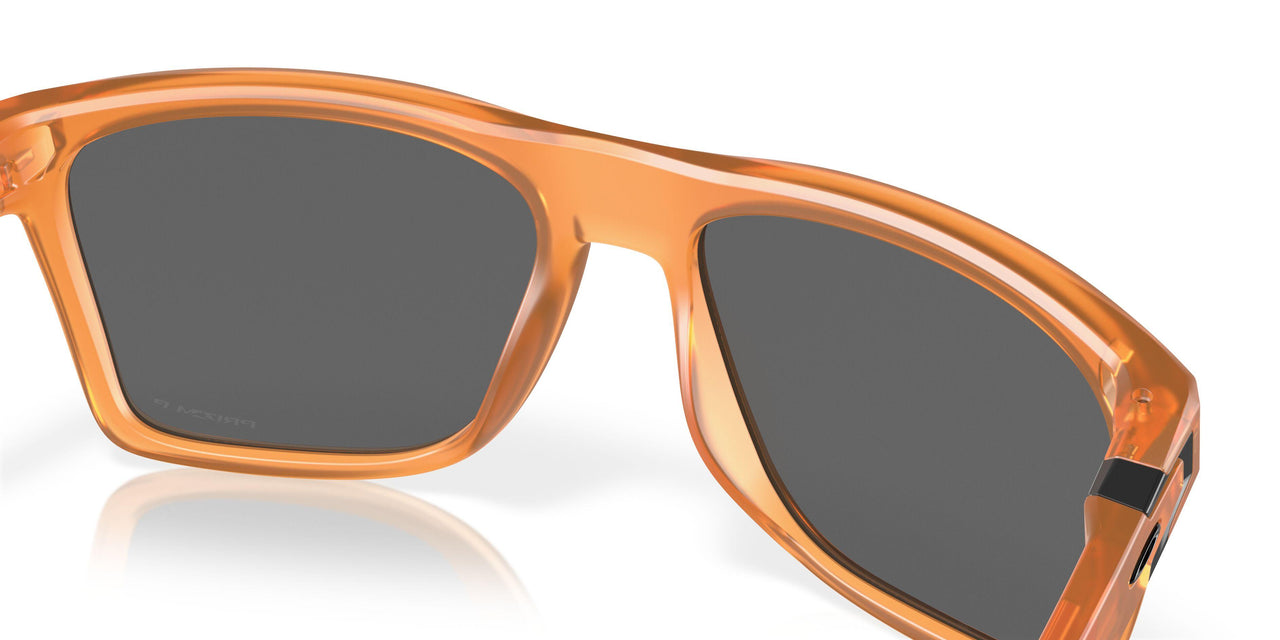 910019 - Brown - Prizm Black Polar