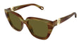 004 - Havana - Brown
