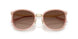 9469T5 - Gold - Brown Gradient Polar