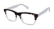 New Globe M444 Eyeglasses