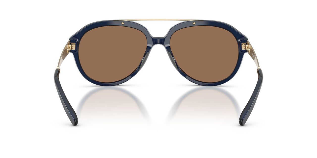 206773 - Blue - Dark Brown