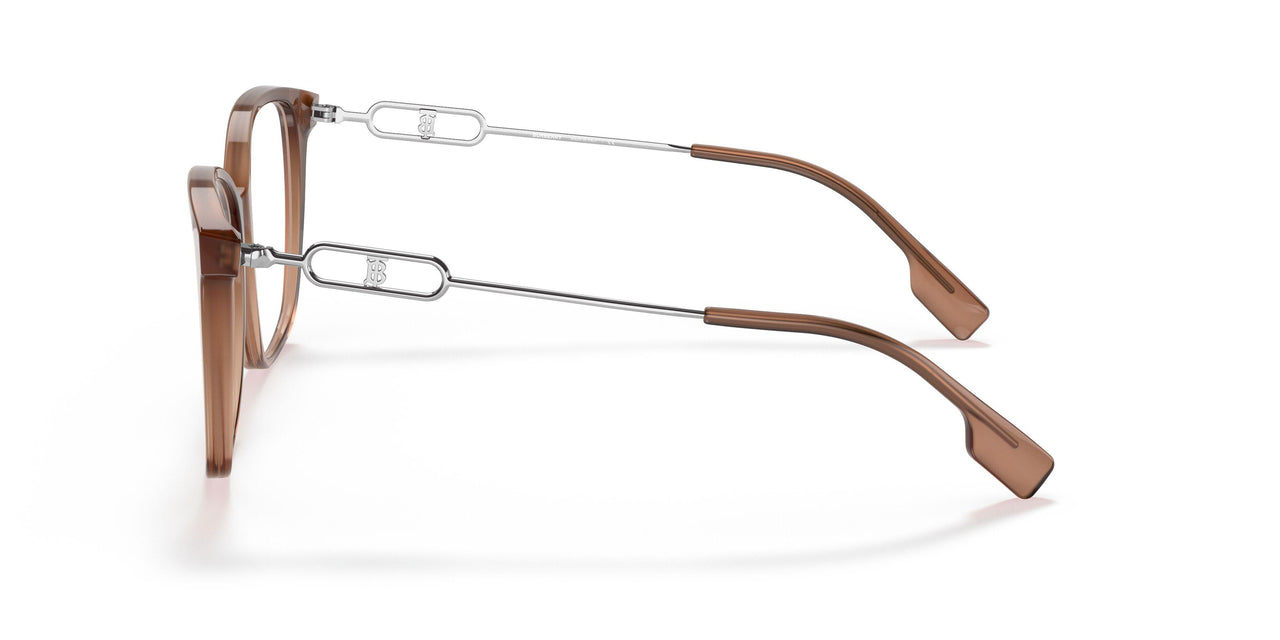 3173 - Brown