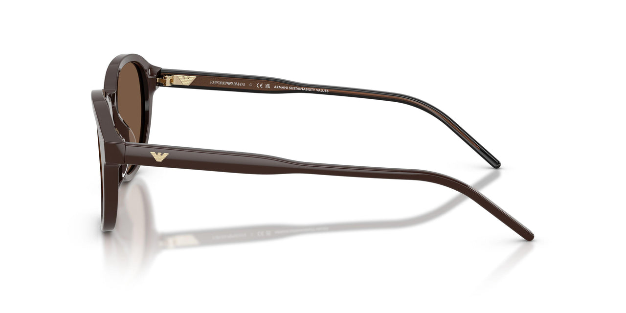 625573 - Brown - Brown