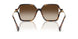 500313 - Tortoise - Gradient Brown