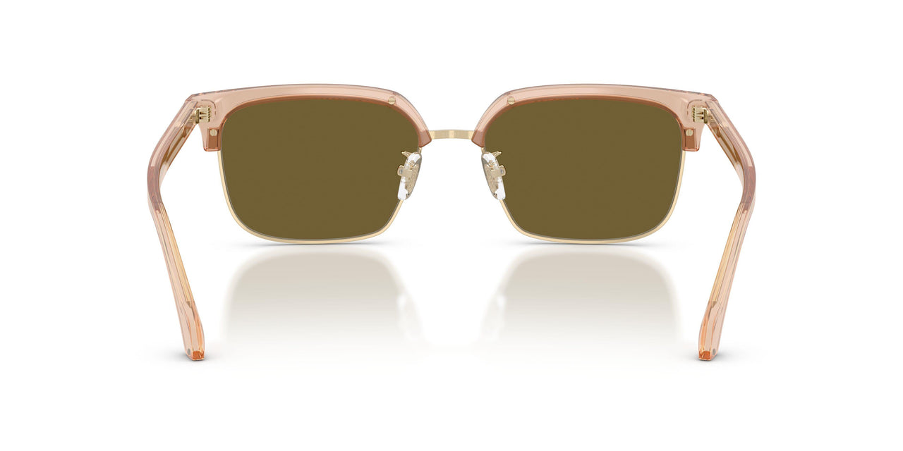 551883 - Brown - Dark Brown