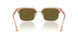 551883 - Brown - Dark Brown