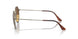 920757 - Gold - Brown Polar