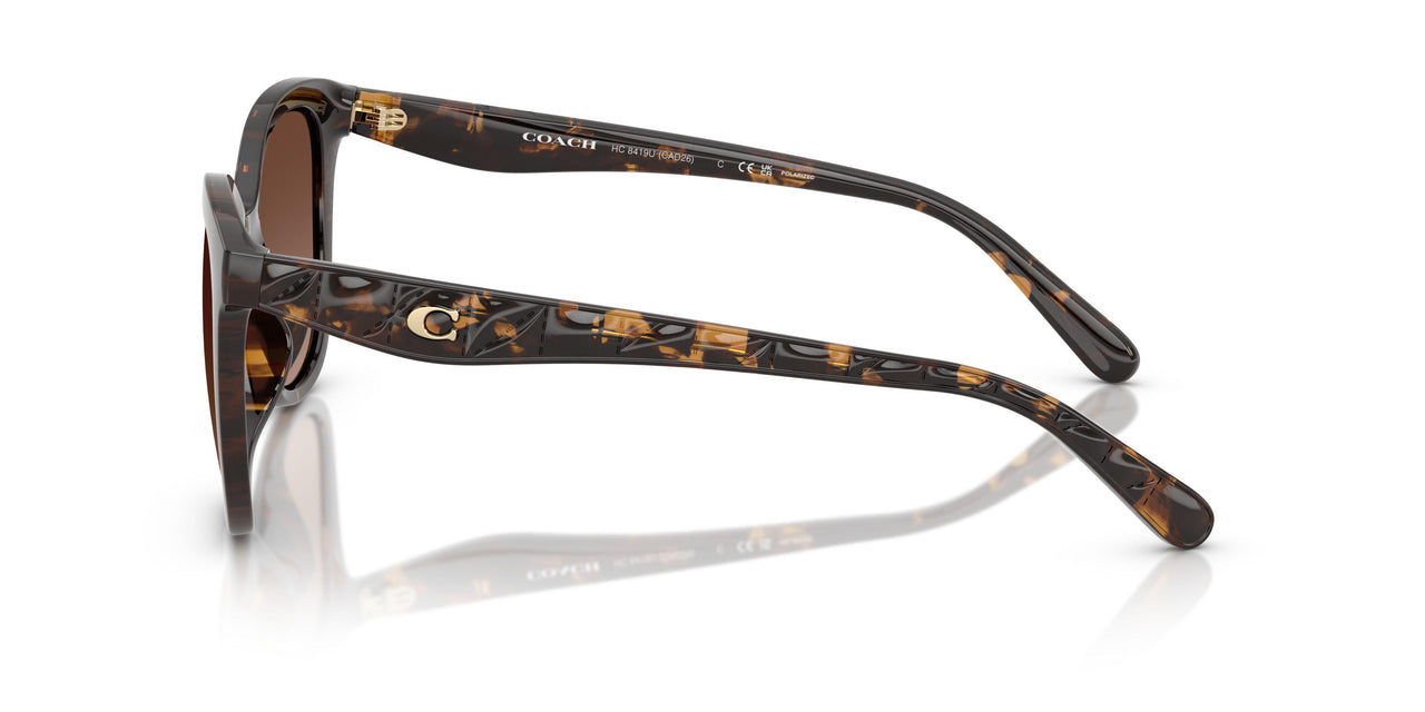 5120T5 - Tortoise - Brown Gradient Polar