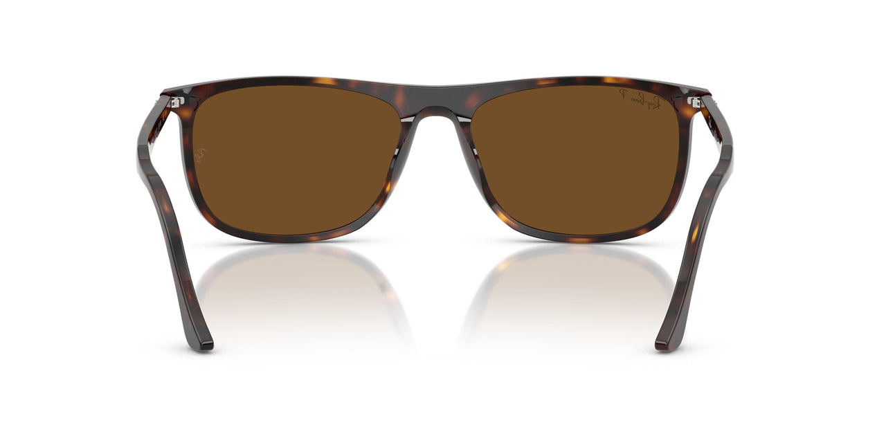 902/57 - Tortoise - Brown Polar