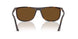 902/57 - Tortoise - Brown Polar