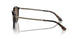 502673 - Tortoise - Dark Brown