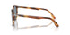 904356 - Brown - Blue