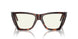 24/BL - Brown - Grey