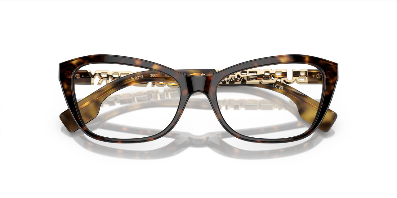 3002 - Brown