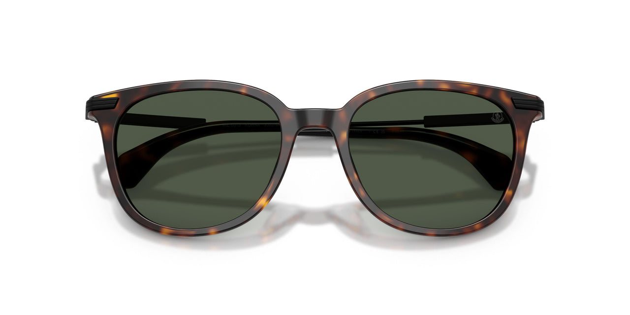 30029A - Tortoise - Polar Solid Green