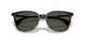 30029A - Tortoise - Polar Solid Green