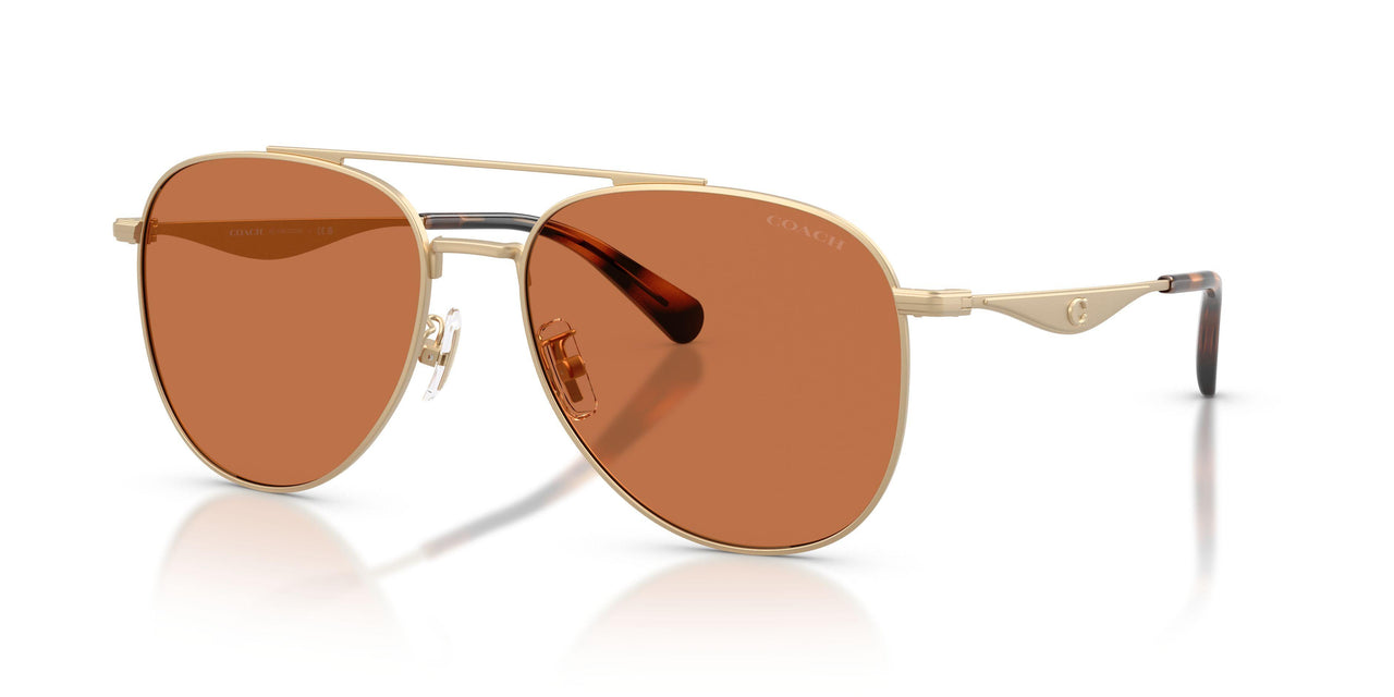 Coach Cdp40 7190 Sunglasses