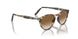 900551 - Tabacco Virginia - Gradient Brown