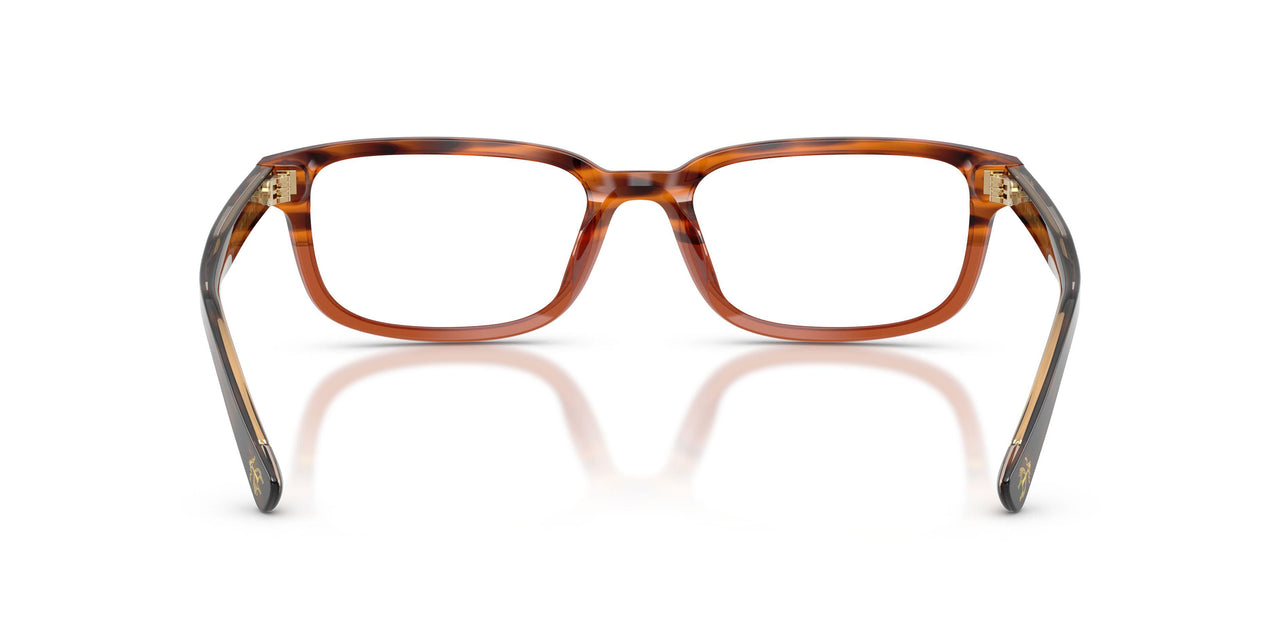 6175 - Brown