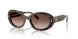 172813 - Tortoise - Brown Gradient