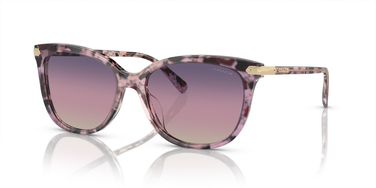 5777U6 - Violet - Purple Gradient