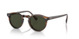 1724P1 - Brown - G-15 Polarized / 47