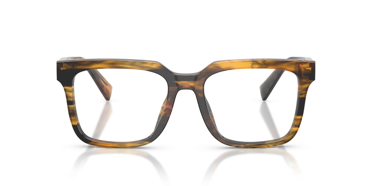 3063 - Tortoise