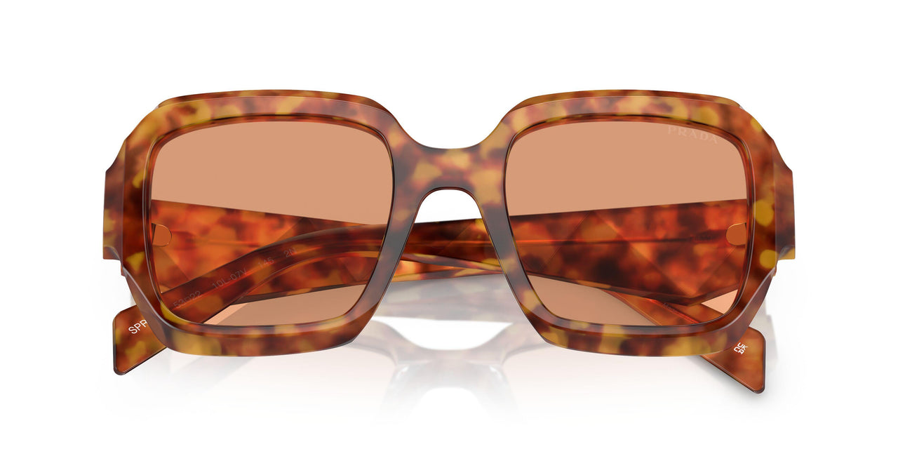 10L07V - Orange - Cotto
